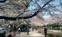 2011-04-06 12.36.30.jpg