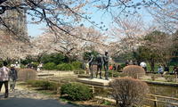 2011-04-06 12.37.34.jpg