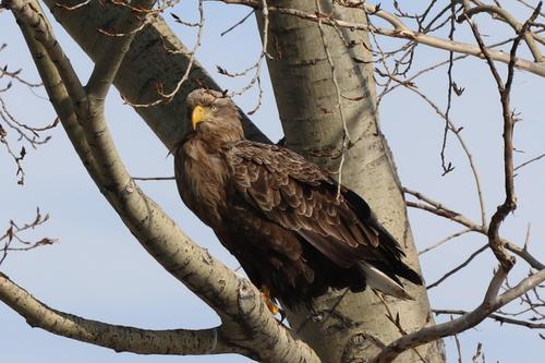 EOS 80D_000588 (2).JPG