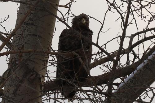 EOS 80D_000606_2.jpg